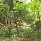 ../thumbnails/021-IMG_0787.JPG.small.jpeg