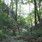 ../thumbnails/022-IMG_0788.JPG.small.jpeg